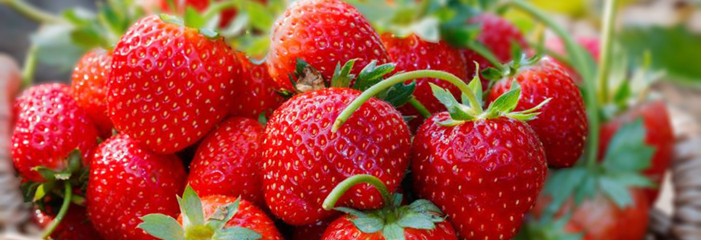 Commodity Alert: Strawberries 