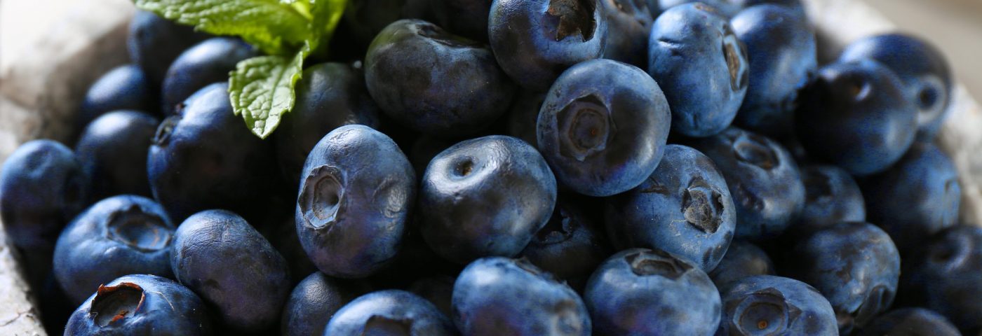 National Blueberry Month!