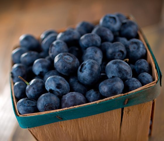 Blueberries: Storage & Selection